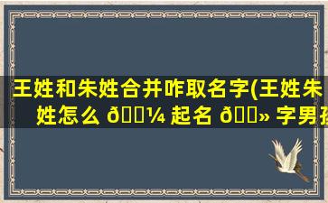 王姓和朱姓合并咋取名字(王姓朱姓怎么 🐼 起名 🌻 字男孩)